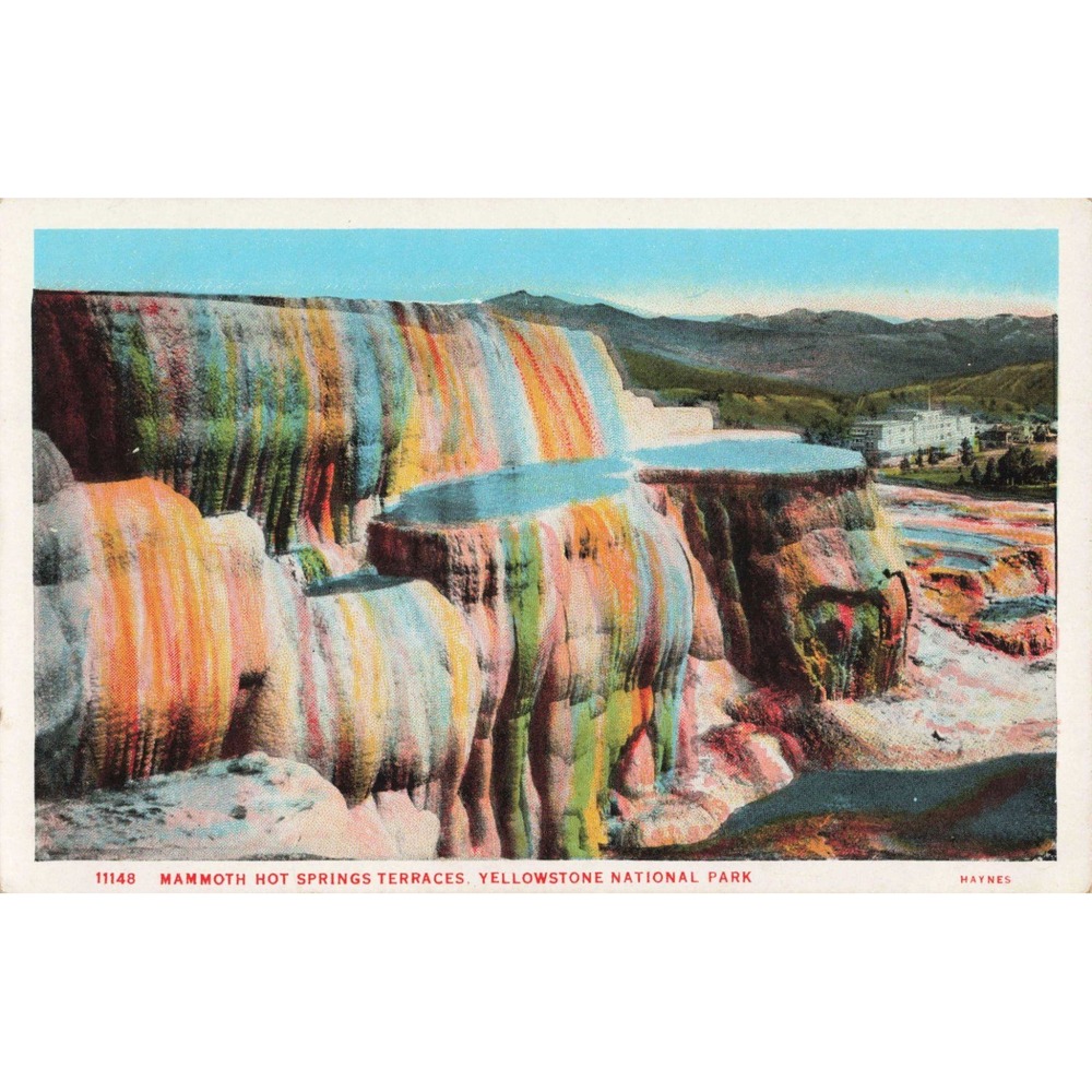 Vintage Yellowstone National Park Mammoth Hot Springs Terraces Haynes Postcard - Picture 1 of 2